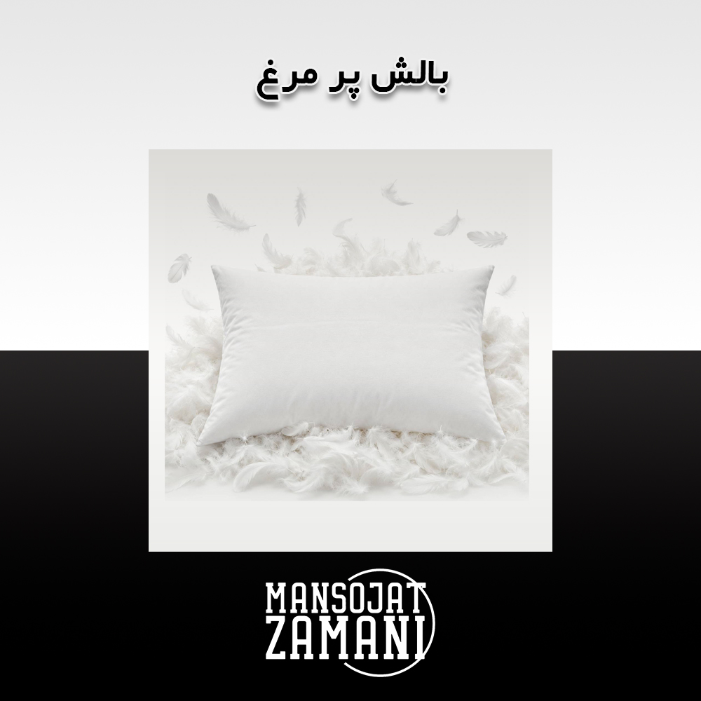 بالش مدل پر مرغ